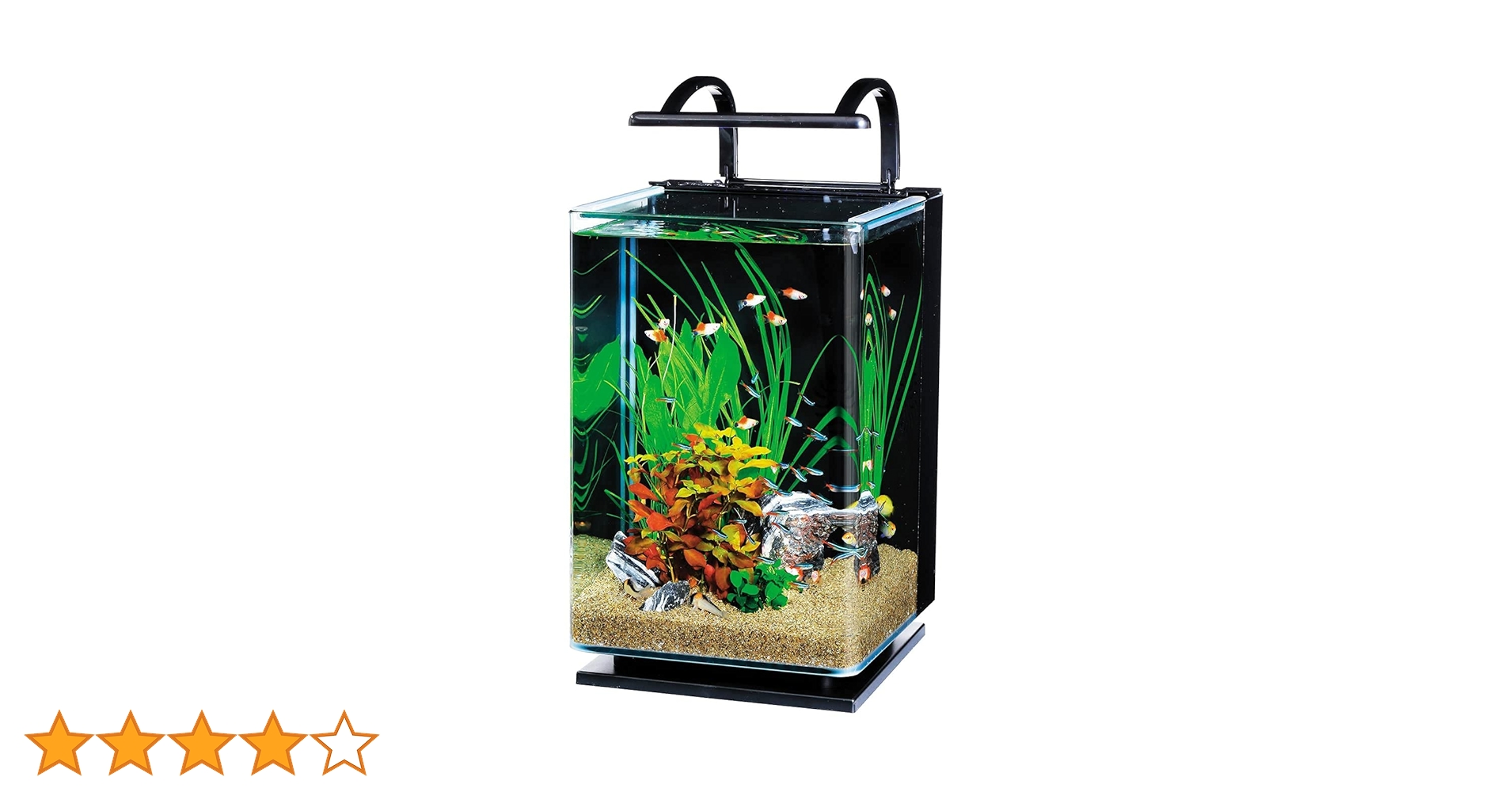 Amazon | テトラ (Tetra) ガラス リビングキューブ 20 オールインワン